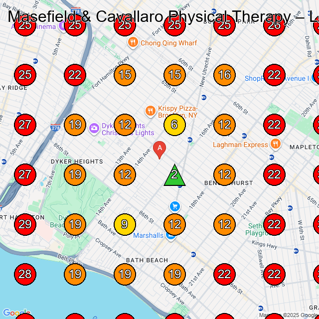 Masefield & Cavallaro Physical Therapy GeoGrid visibility map for Physical Therapist in Brooklyn
